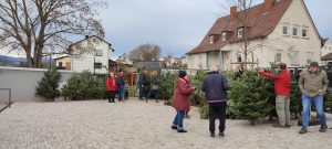 Weihnachtsbaumverkauf 2022