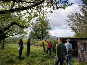 Erfolgreicher Baumschnittlehrgang im Herbst 2023