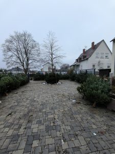 Weihnachtsbaumverkauf 2023