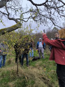 Erfolgreicher Baumschnittlehrgang im Herbst 2024