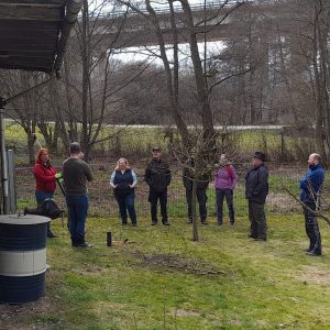 Baumschnittlehrgang im Frühjahr 2025