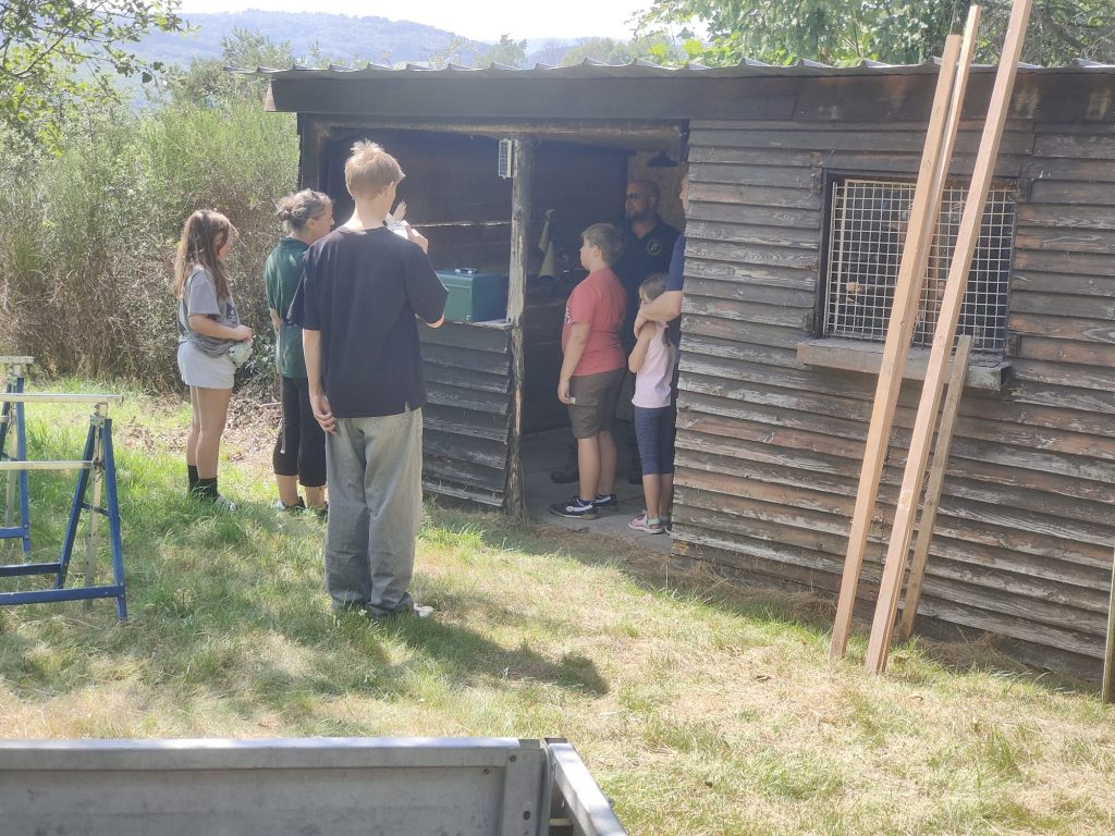 Jugendgruppe Eisvögel arbeitet gemeinsam an der Vogelschutzhütte bei sonnigem Wetter