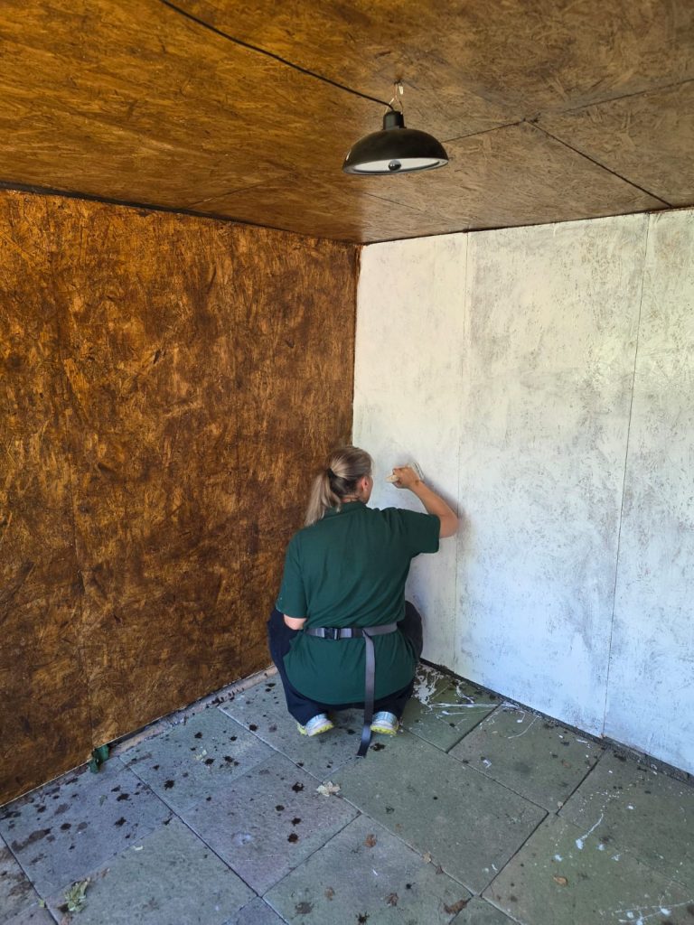 Großer Raum mit Holzschutzmittel gestrichen und frisch weißer Wand