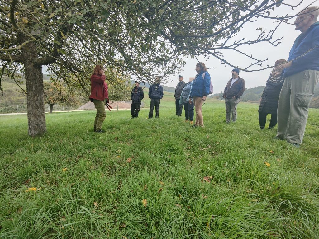 Baumschnitt auf der Streuobstwiese in Katzenfurt mit Teilnehmenden