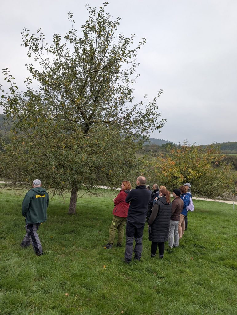 Teilnehmergruppe beim Baumschnitt der Vogel- und Naturschutzgemeinschaft Katzenfurt 2025