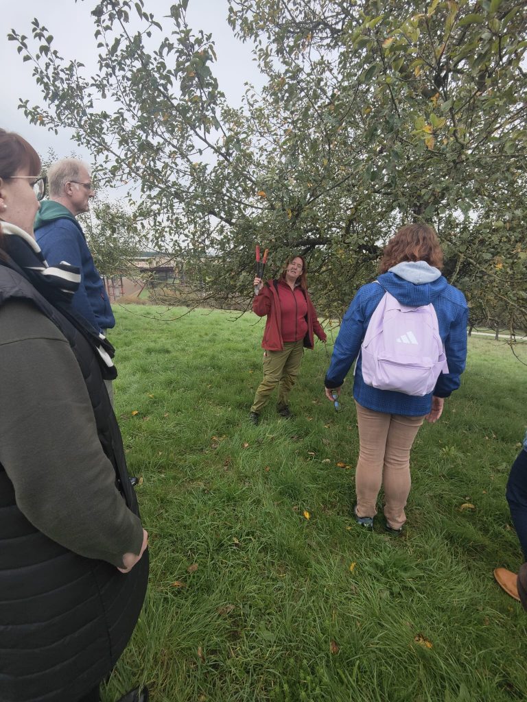Expertin erklärt Baumschnitt an altem Apfelbaum in Katzenfurt
