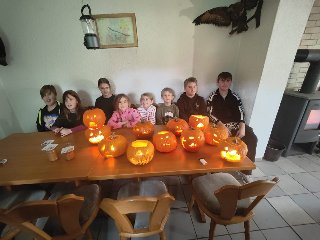 Kürbiskunstwerke der Eisvögel nach dem Schnitzen an der Vogelschutzhütte