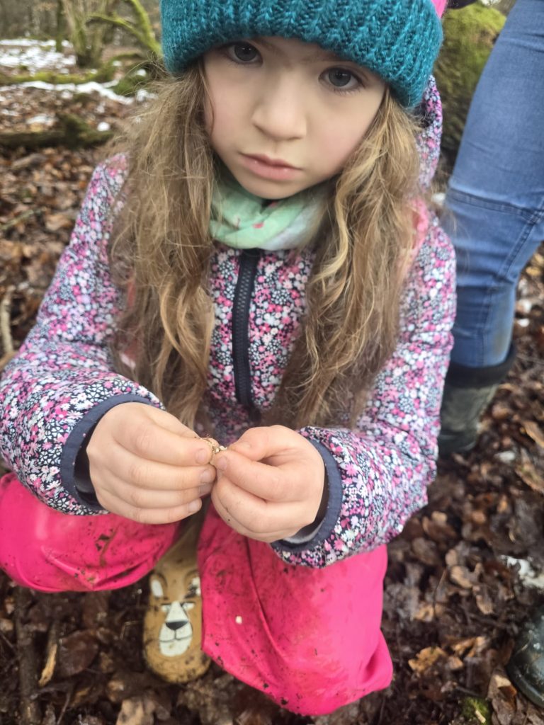 Neue Kinder entdecken Nistkästen im Revier der Naturschutzgemeinschaft