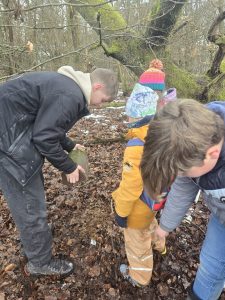 Nistkästen reinigen mit Eisvögeln