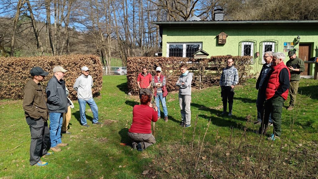 Teilnehmer lernen Baumschnitt-Techniken praktisch an Obstbäumen