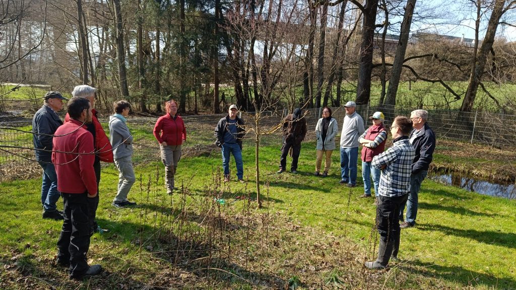 Baumschnitt rund um Vogelschutzhütte im Volkersbach bei Sonnenschein