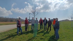 Baumschnitt auf Streuobstwiese in Katzenfurt mit Teilnehmenden im Frühling