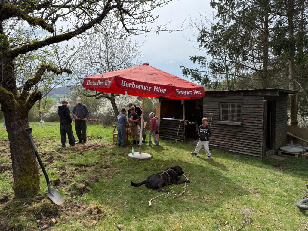Eisvögel nutzen neuen Sonnenschirm beim Treffen
