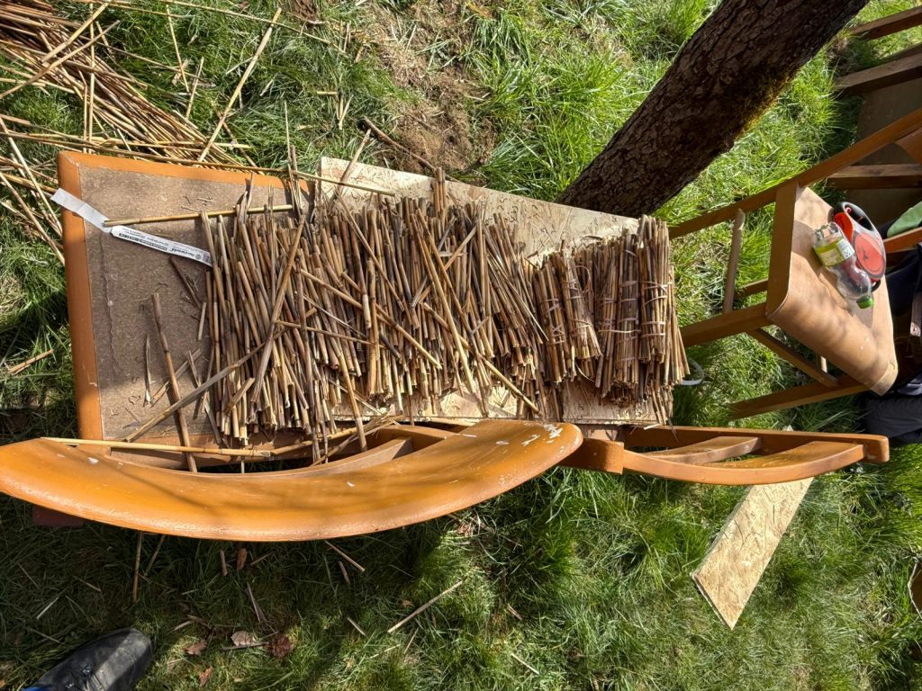 Eisvögel bauen Insektenhotel aus Palette im Vereinsgelände
