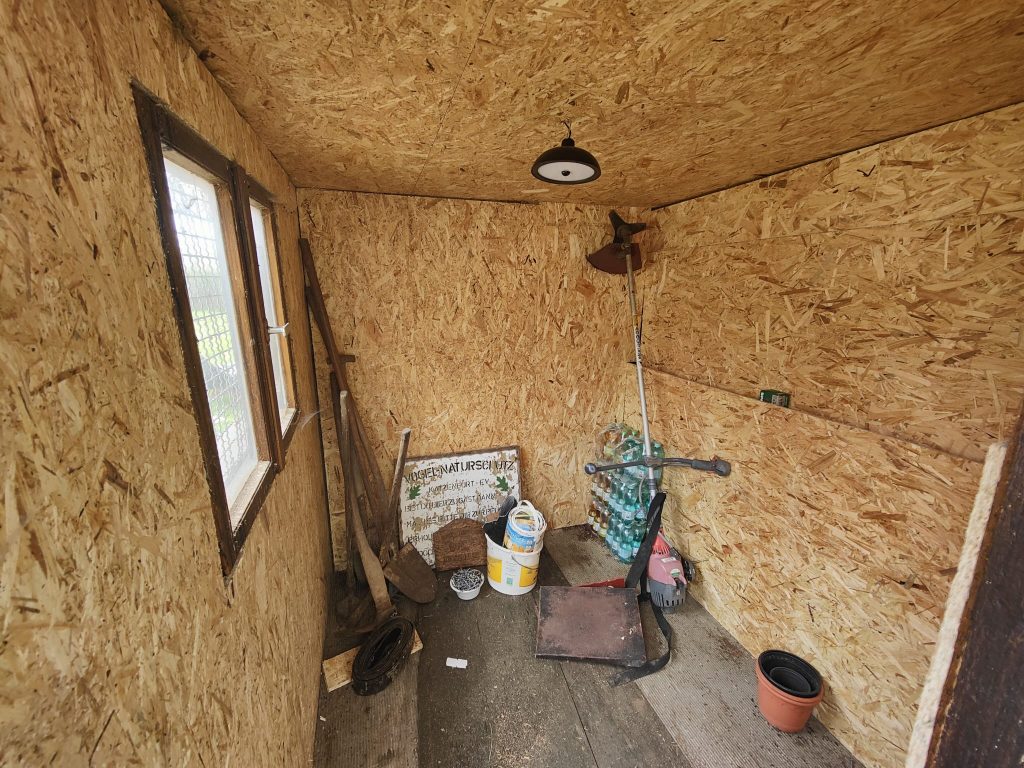 Eisvögel beim Verkleiden der Jugendhütte Innenraum Katzenfurt