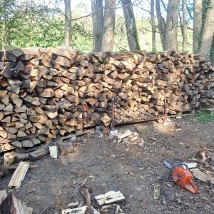 Arbeitseinsatz Holz spalten an der Vogelschutzhütte in Katzenfurt